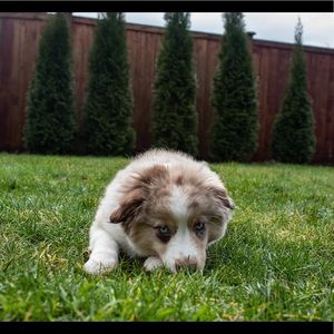 Meet your Posher, Erin